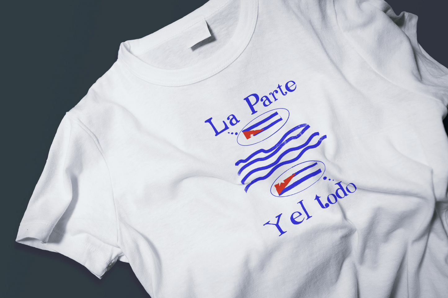 Digital illustration showing the Cuban flag whole above waves and 
fragmented below, titled La Parte y el Todo, by Rogelio García Miami